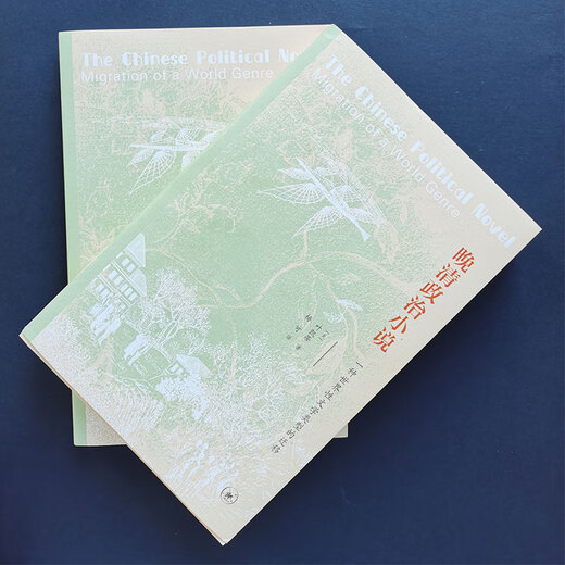 【京仓速发 明日达】晚清政治小说（一种世界性文体的迁移）97871080**967