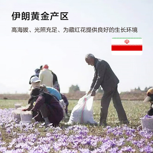 Hergestellt in Jingdong, einer besonderen Safran -Geschenkbox 9G, iranischer Safran, praktische Geschenk für Frau und Mutter, in Wasser getränkt