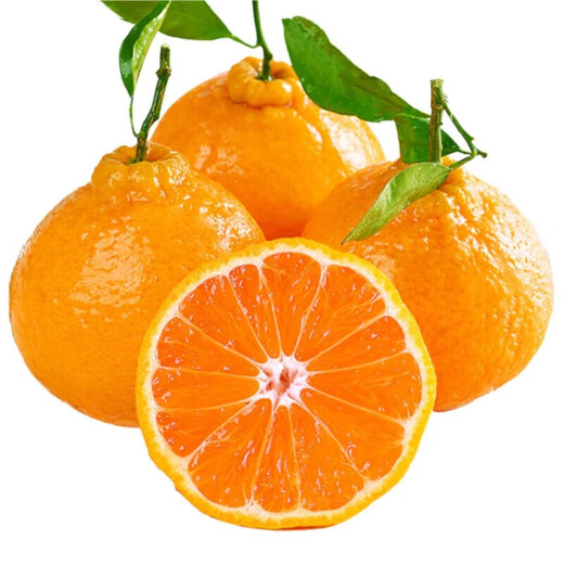Moisturize the taste and come to Sichuan Wuzhihuo Chou Orange Fresh Seasonal Fruit Gift Box Big Fruit Chou Orange Eight Strange Orange Rake Orange Rake 6Jin[Jin equals 0.5 kg] Gift Box Pack