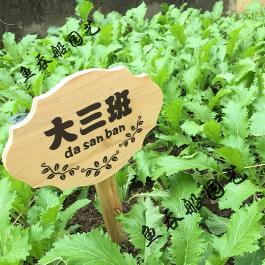 Ground sign custom wooden sign park vegetable garden vegetable field wooden grass planting area sign vertical ground sign love 10