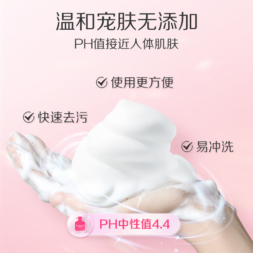 Adolf Timson mousse foam hand sanitizer effectively inhibits 99.9% of bacteria for household use 550ml peony rose elegant fragrance