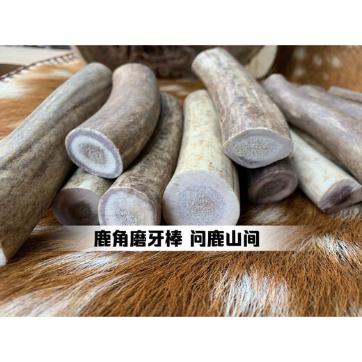 Yusange (yusange) deer antler teething stick for single dog, naturally resistant to chewing bones, snacks, chewing gum, Teddy Golden Retriever, Corgi French Bulldog puppy, large cut surface 200-220g (20-40kg dog)