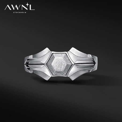 AWNL Seven Seas Ring Nordic M Meteorite Ring Men's Light Luxury Niche Fashion Jewelry as a Birthday Gift for Boyfriend Hk#20 (Inner Diameter 19.04mm)