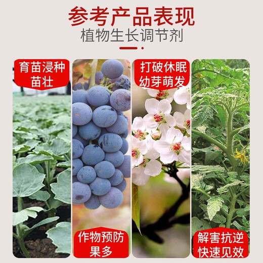 Natural brassinolide, genuine high-efficiency plant growth regulator, growth-promoting, fast-growing, disease-resistant and drug-damaged foliar fertilizer 10kg