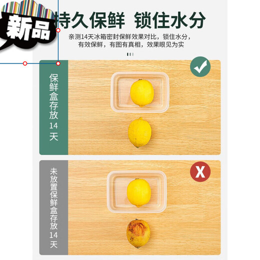 Cangsu-Lebensmittelbox, Kunststoff-Aufbewahrungsbox mit Deckel, Crisper-Box, kommerzielle rechteckige Kühlschrank-Spezialbox, großes Fassungsvermögen, keine Schnallendichtung, Modell 9901, 50 x 35 x 16 cm