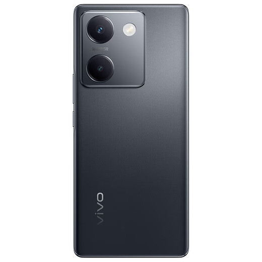 vivo X100 蓝晶×天玑9300 蓝海电池 蔡司长焦 120W双芯闪充 新品5G拍照全网通手机 星夜黑丨Y100（骁龙695） 12GB+512GB
