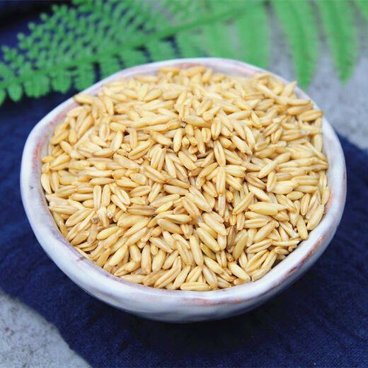 新货燕麦米5斤 农家自种燕麦仁荞麦米全胚芽燕麦五谷杂粮粗粮1斤 燕麦米14988g15038g