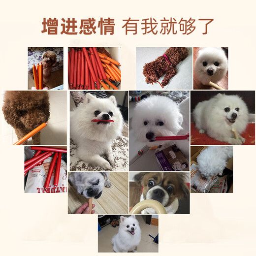 Maifudi dog ham sausage 20 chicken beef sausage low salt calcium supplement Teddy adult dog puppies and dog snack training rewards One pack of chicken beef ham sausages