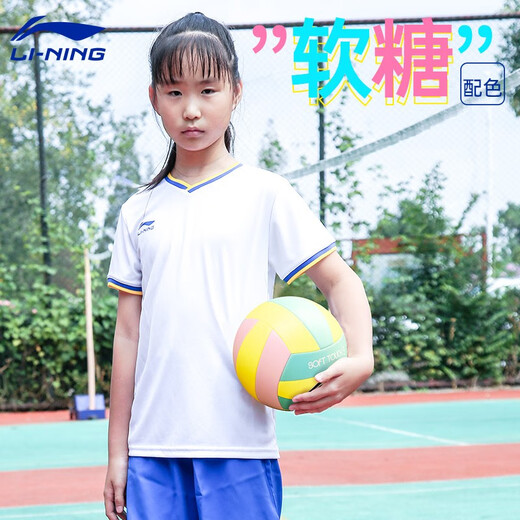 李宁（LI-NING）排球中考软手感充气排球初中学生考试训练用球成人青少年比赛 5号 【LVQK733-1】