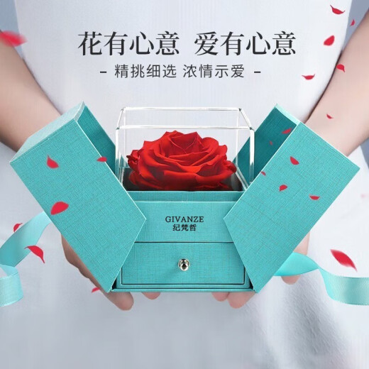 纪梵哲轻奢四叶草项链女生吊坠手链520情人节生日礼物送女朋友老婆女友 四叶草红玛瑙项链(附近仓次日达)
