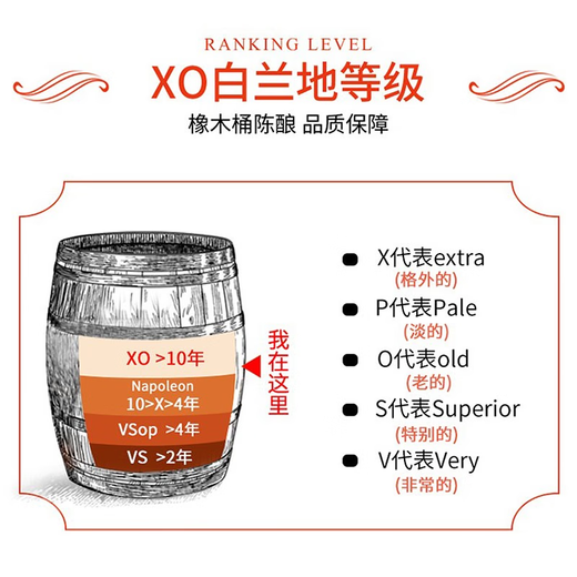 路易马西尼派斯顿法国进口洋酒XO白兰地40°烈酒（原酒进口）金葫芦·名酒 单支 700mL 1瓶