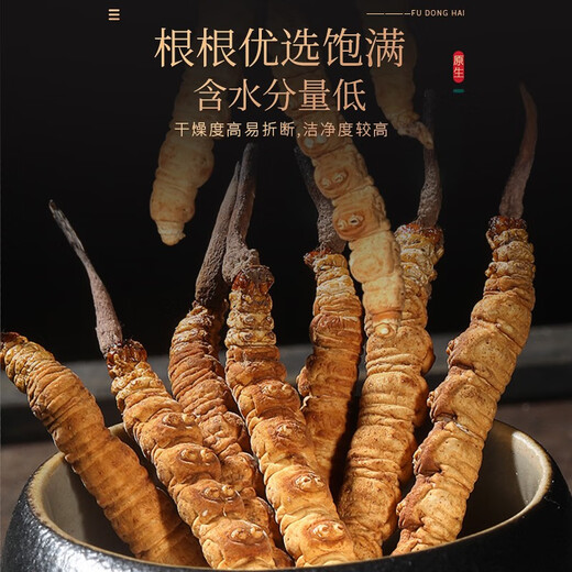 Fudonghai Cordyceps sinensis 20G Geschenkbox erstklassiges Qualitätsstück (4-5 Stücke/g), ausgewählt in großer Höhe gefriergetrocknet
