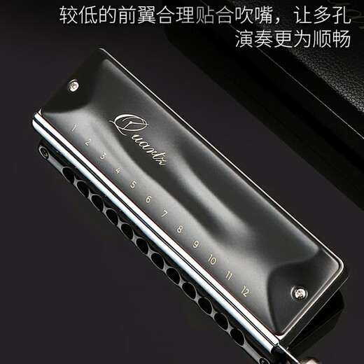 JDR&Clock Joint Quarz Quarz chromatische Mundharmonika 12-Loch-C-Taste, importierte Gongs, Innenfilmdesign, 12-Loch-Standard-Stimmversion + Tastenöl + Klavier-Demontagewerkzeuge