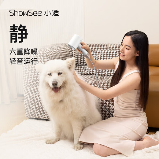 Showsee 110,000-rpm high-speed motor hair dryer household hair dryer high-power high-concentration negative ion hair care strong wind speed drying noise reduction leafless hair dryer gift for wife and girlfriend Yunwu White A18-W