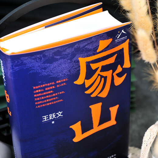 现货正版新书699页家山书王跃文著 作家王跃文Z新长篇小说力作 我 版社 家山