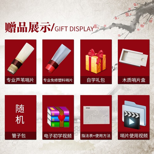 管艺 管子乐器 乌木管子乐器筚篥催泪管成人初学专业演奏款 小G调【塑料+芦苇哨片】