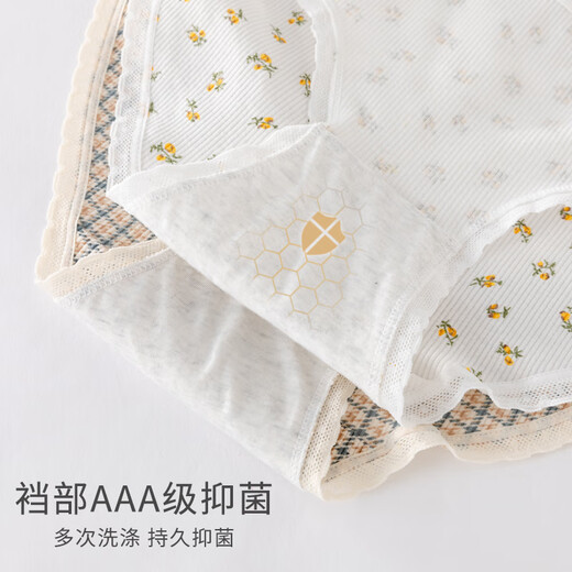 憨憨象女童内裤儿童纯棉三角裤女孩新款纯棉不夹屁股底裤少女中大童短裤 11155紫格女孩【四角纯棉款】 4条 130 身高120-130cm 40-50斤