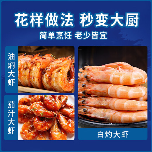 Dongshang Royal Shrimp Qingdao Prawn Base Shrimp Fresh Live Prawn White Prawn Sea Prawn Prawn Ice Prawn Frozen Shrimp Fresh Shrimp Seafood 3Jin Jin is equal to 0.5 kg (net weight) Air-frozen prawn Live shrimp quick-frozen 15-18cm Single extra large shrimp