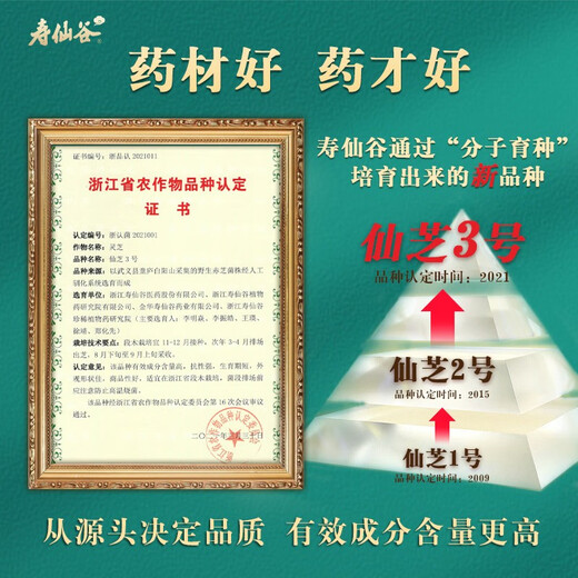 Shouxianggu Xianzhi Nr. 3 Breaking Wall Ganoderma lucidum Sporenpulvertabletten, wandvorbereitete patentierte patentierte Immunverstärkung Gesundheit nahrhafte Geschenkbox, 60 Stück/Flasche*2 Flaschen/Box (zwei Monate)
