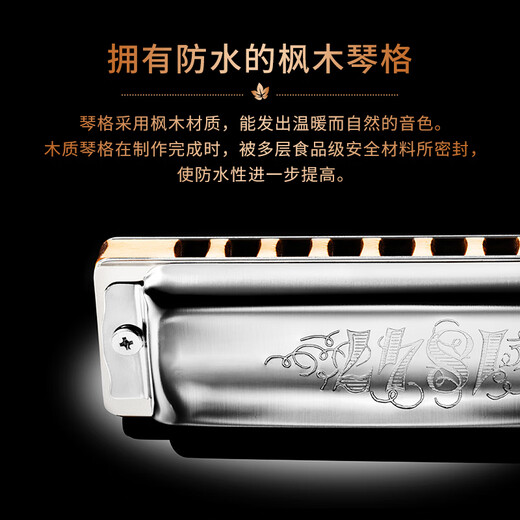 SEYDEL德国进口SEYDEL赛德 十孔10蓝调成人口琴 1847 CLASSIC 10孔LC调