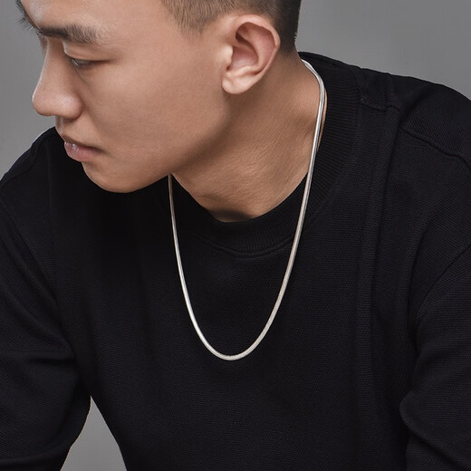 IDEAGEMER Snake Bone Chain Necklace Men's Fashion Trend Exquisite Personality Handsome and Versatile European and American Style Men's Plain Chain Clavicle Chain Fashion Snake Bone Chain-50CM