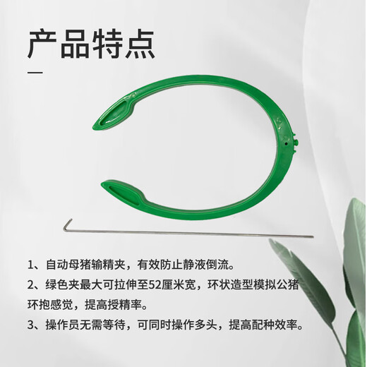 Mushide automatic insemination stent for pigs, sow rack, pig back clip, artificial insemination pig breeding pressure back clip, breeding clip, stretchable large + stainless steel bracket