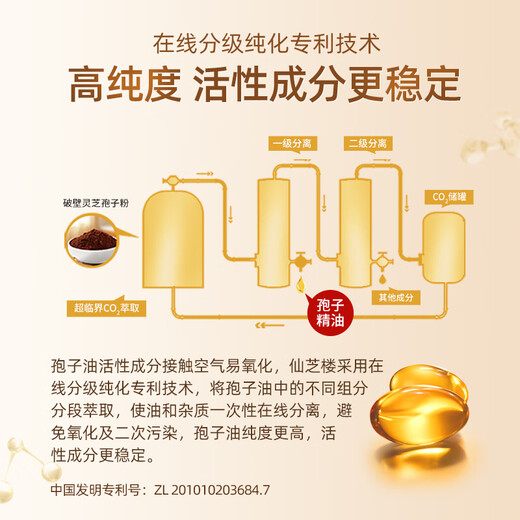 仙芝楼 灵芝孢子油软胶囊 破壁灵芝孢子粉精华 0.5g/粒*60粒/盒*6盒 