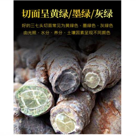 Leixiangzhuang Sanqi, Yunnan Wenshan, 37, keine Schnitte am 37. Kopf ohne Schnitte [25 Köpfe 500 Gramm - keine Schnitte]