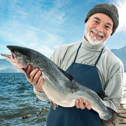 Salmon Family salmon whole 3kg has been divided into fillets, directly sourced from Chile, gift box