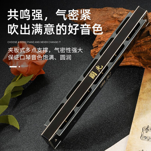 国光上海国光口琴28孔重音高级成人专业演奏级复音C调初学者入门乐器 28孔 C调 国之梦黑色复音+自学礼包