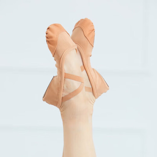 
Sansha (Sansha) ballet shoes dance shoes women's adult practice soft shoes gymnastics shoes elastic mesh cloth breathable 83X meat 38