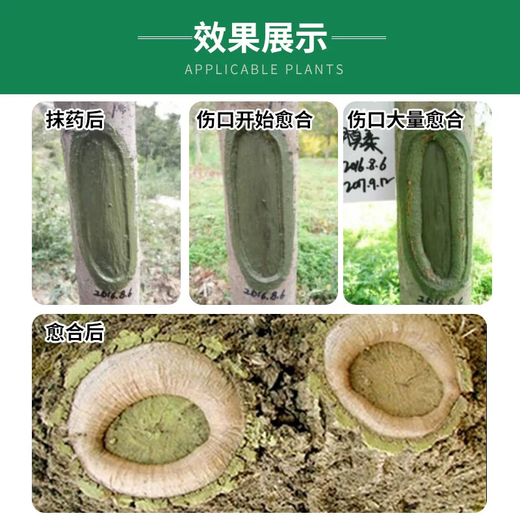 Guoguang Membrane Taida Tree Bonsai Fruit Tree Wound Smear Healing Agent Grafting Rot Healing Sealing Cream 500g