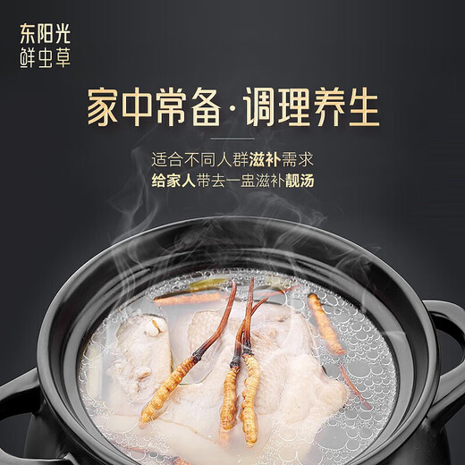 
Dongyangguang Organic Cordyceps sinensis 3-4 roots/g New dried Cordyceps nourishing gift box Cordyceps supplements for parents and elders 50 grams 2-3 roots/g [Lock fresh grass, business gift]