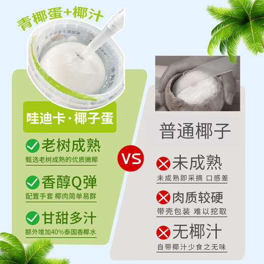 Jingxiansheng Wadika Thai Coconut Egg 2 Pack Single Fruit 500g/Each Straight from the Source Mid-Autumn Fruit Gift Box