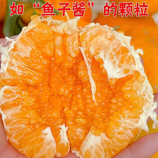 Xuji (XUJI) Sichuan Chunjian Mandarin Fresh Fruit Papa Pa Pa Pa Pa Mandarin Seasonal Ugly Orange Ugly Eight Monsters Orange Sweet Mandarin Full Box of 12 Pieces Gift Box + Handbag