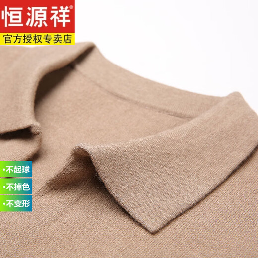 Hengyuanxiang cardigan men's sweater with sweater with wool and men's casual sweater lapel sweater jacket new style brown S 165