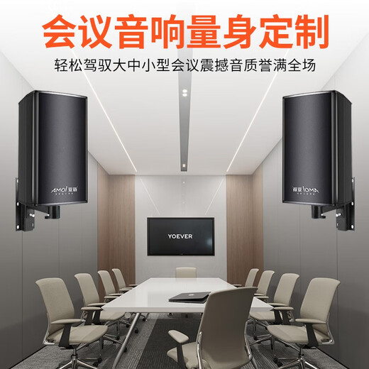 XIAXIN (AMOI) Professionell kleiner und mittelgroßer Konferenzraum Audio-Set, Familienkartenpaket für KTV-Kino-Bluetooth-Verstärker-Verstärker-Verstärker-Kartenpaket, Lehr- und Trainingsprotokoll-Karaoke-Lautsprechersystem, 6,5-Zoll-Konferenz Audio + 2 Handheld-Mikrofon (10-50 Quadratmeter) (10-50 Quadratmeter)