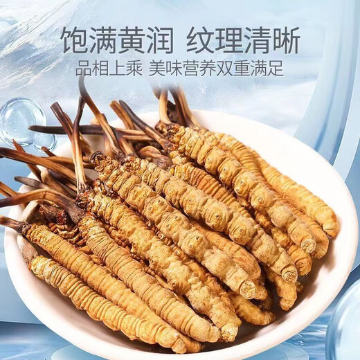 Auténtica área de montaña de nieve, yena l qu gran altitud montaña de nieve cordyceps sinensis hierba entera cordyceps sinensis roto cordyceps sinensis 1 0.33 gramos