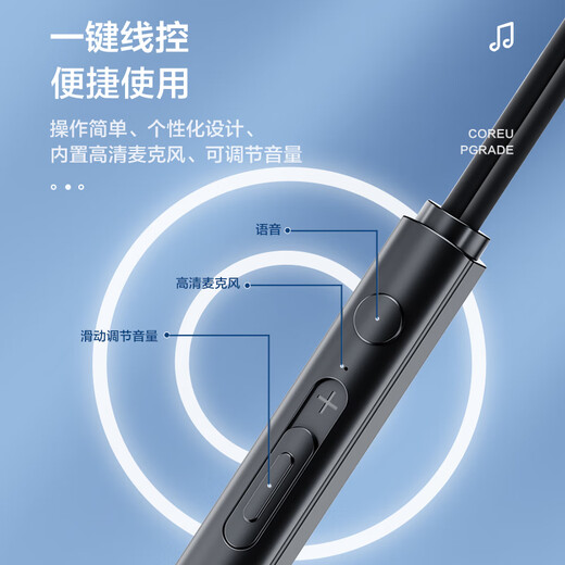 智国者（WITGOER）【3米加长线】电脑耳机有线入耳式带麦克风二合一台式机笔记本游戏耳麦电竞直播双孔插头圆头专用