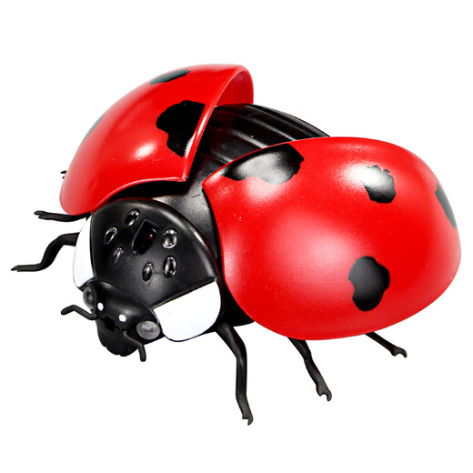 ZF Electric Remote Control Ladybug Toy Children Internet Celebrity Simulation Tricky Induction Moving Insect Reptile Animal Boys Girls Remote Control Ladybug Red 9922+ Screwdriver