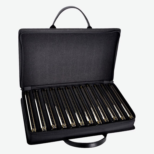 Tongbao (TOMBO) 6624S SET 12 Autoring de 7 ajustes Avanzados Avanzados Desempeño Profesional Compensador Autoestudio 6624 [Modelo avanzado] 7 ajustado