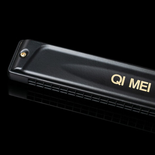 Qimei Mundharmonica 24-Loch-Professionaler professioneller Black Bull Mundharmonica importiert Gong Mundharmonica [Matte Black] 24-Loch-Polyphonica [D Tune]