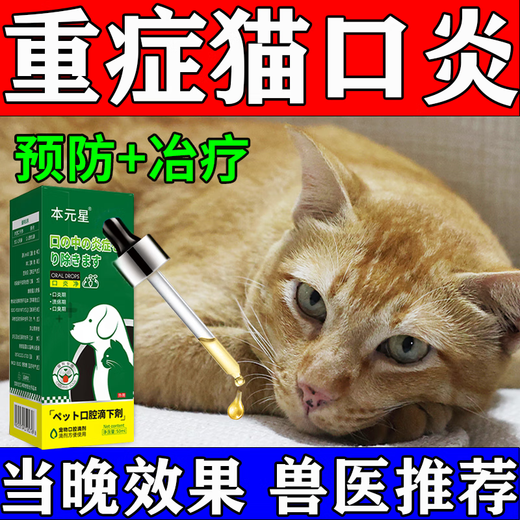 Cat stomatitis special medicine i medicine cat stomatitis spray 2801 A cat's rotten mouth, drooling, red, swollen and inflamed gums, oral ulcers and bad breath special anti-inflammatory and analgesic spray azole, single box, good effect, fear of not enough, antibiotics included