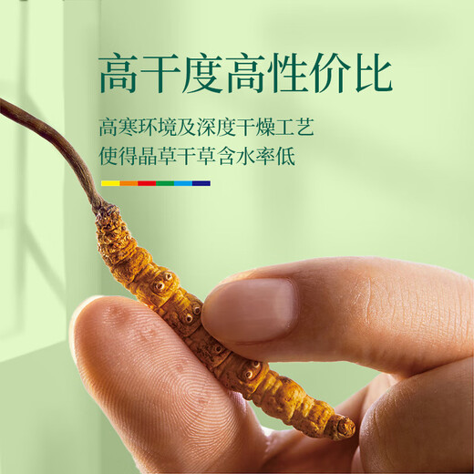 Cordyceps sinensis 3 Wurzeln/G10g ungefähr 30 Wurzeln Cordyceps Festliche Geschenke High-End-Nahrung Ernährung Auswahlgeschenke