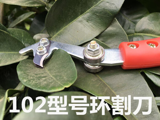 RSRDDY fruit tree girdling honey pomelo tree girdling scissors girdling device lychee tree citrus peeling knife jujube tree nail opening tool 101 knife with 1 mm blade