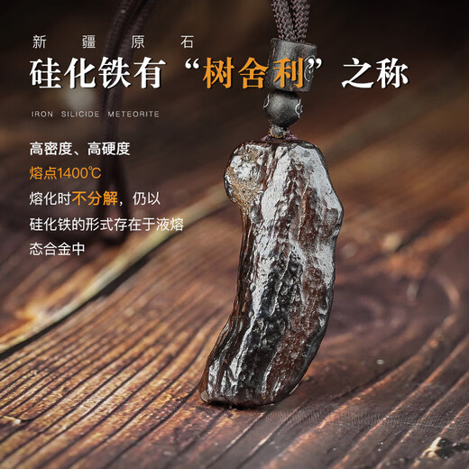 Ganxia Xinjiang silicide iron meteorite pendant tree relic pendant soaked in water active magnetic necklace stone iron meteorite 15g randomly selected
