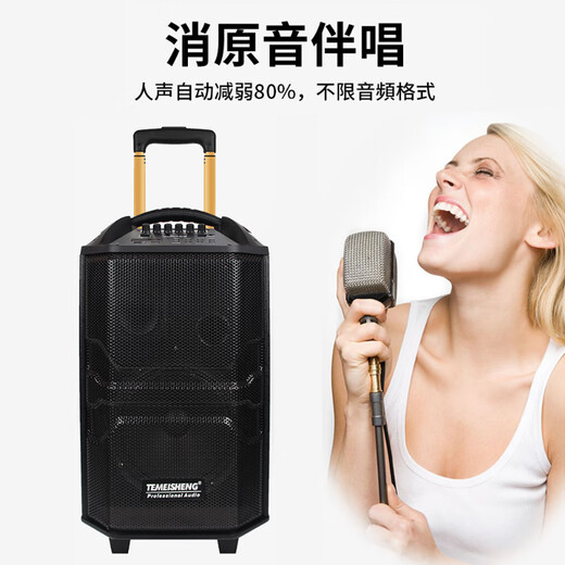 TEMEISHENG QX1229H Square Dance Speaker Outdoor Portable Karaoke Bluetooth Trolley Mobile High-Power Singing Microphone Speaker 10-inch Standard Configuration + Two Handheld