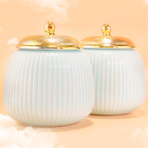 Mengchamei Alpine Yunwu Green Tea 250g*2 cans new tea first-grade strong fragrance tea gift box