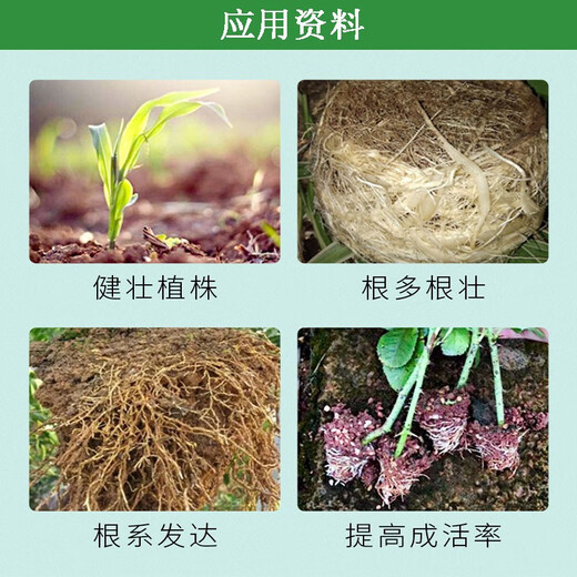 Muda Biological Naphthalene Acetic Acid Irrigation Rooting Agent Garden Seedlings Ancient Trees Rejuvenation Lawn Flower Cuttings Hair Root Transplanting Rooting Agent 4 liters/barrel*1 barrel