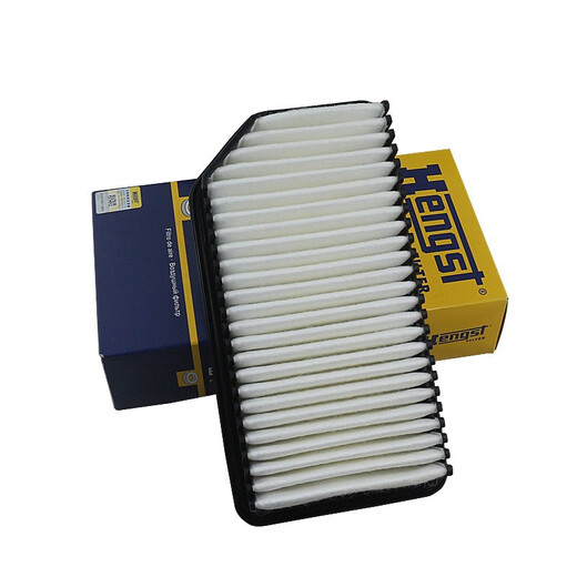 Hangst Hengst air filter*E1047L (adapted with Kia Reina/Riyi/ix25/Kia Suer/K2)